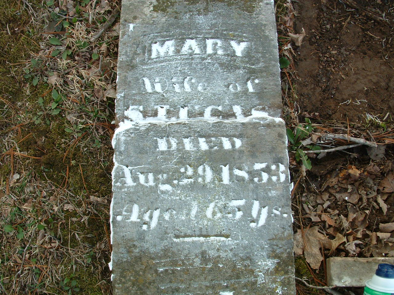 Lucas Cemetery Photos